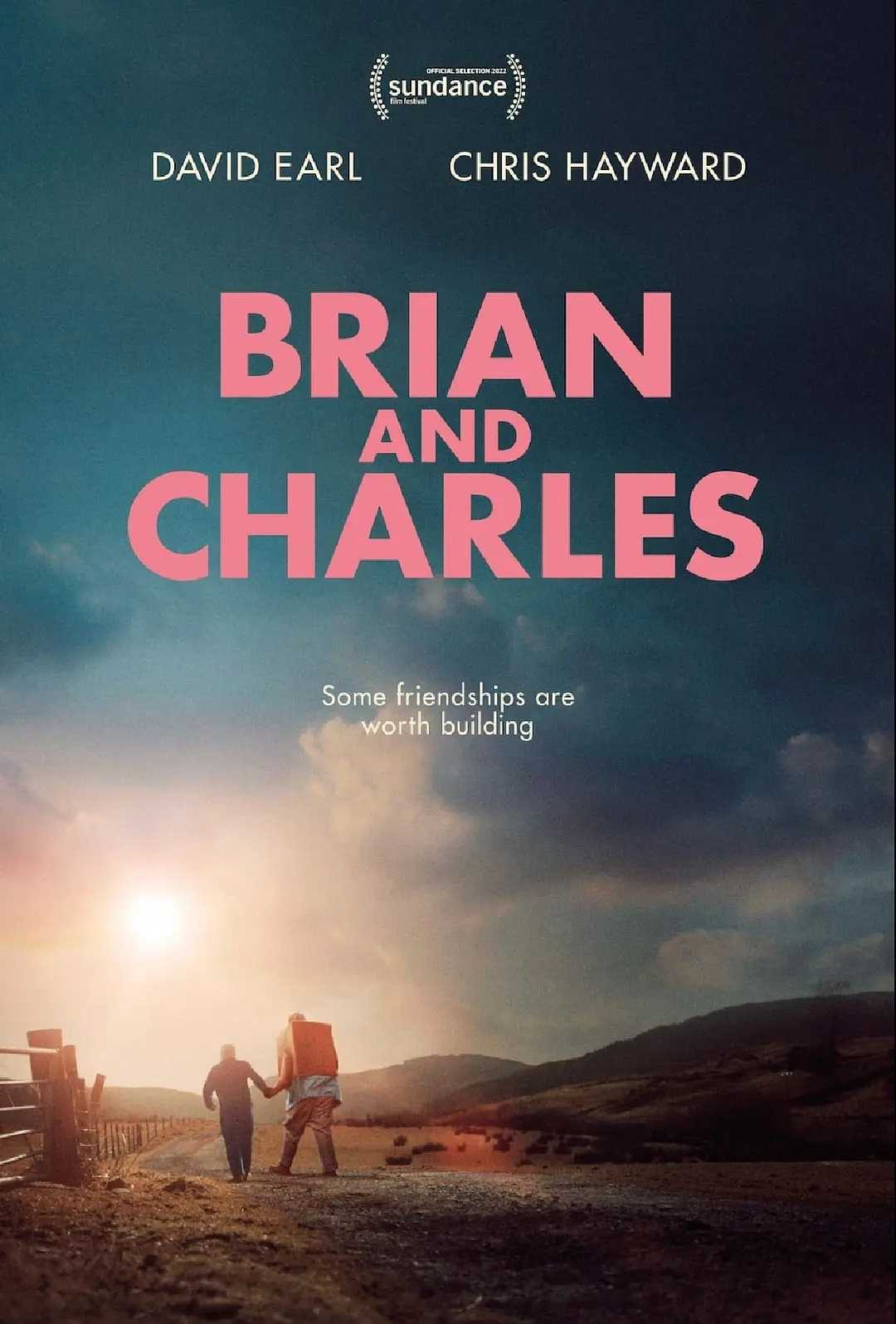 布赖恩和查尔斯 Brian and Charles (2022)