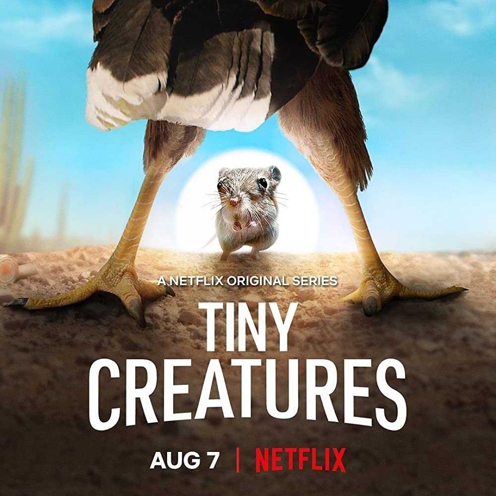4K 《微观世界》Tiny Creatures] [全08集] [英语中字]